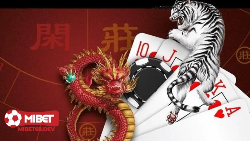 Bí kíp chơi Rồng Hổ Mibet bách chiến bách thắng 3 Bí kíp chơi Rồng Hổ Mibet hiệu quả